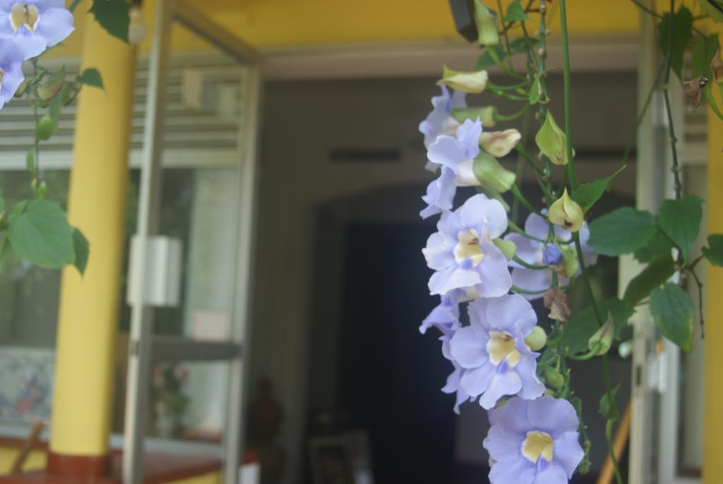 Ananda Home Stay And Restaurant تانجالي المظهر الخارجي الصورة