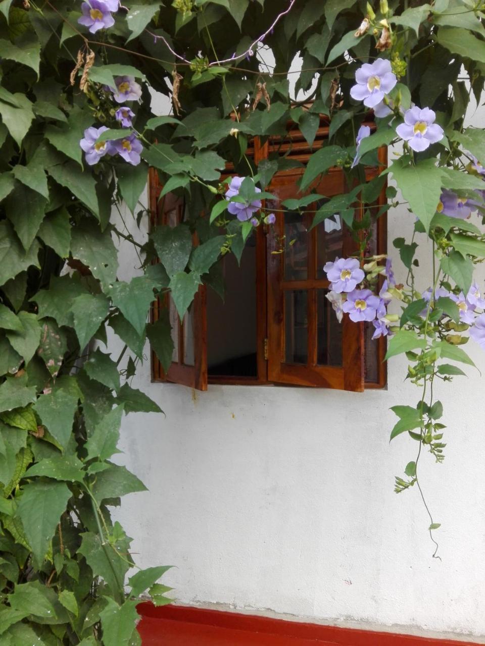 Ananda Home Stay And Restaurant تانجالي المظهر الخارجي الصورة